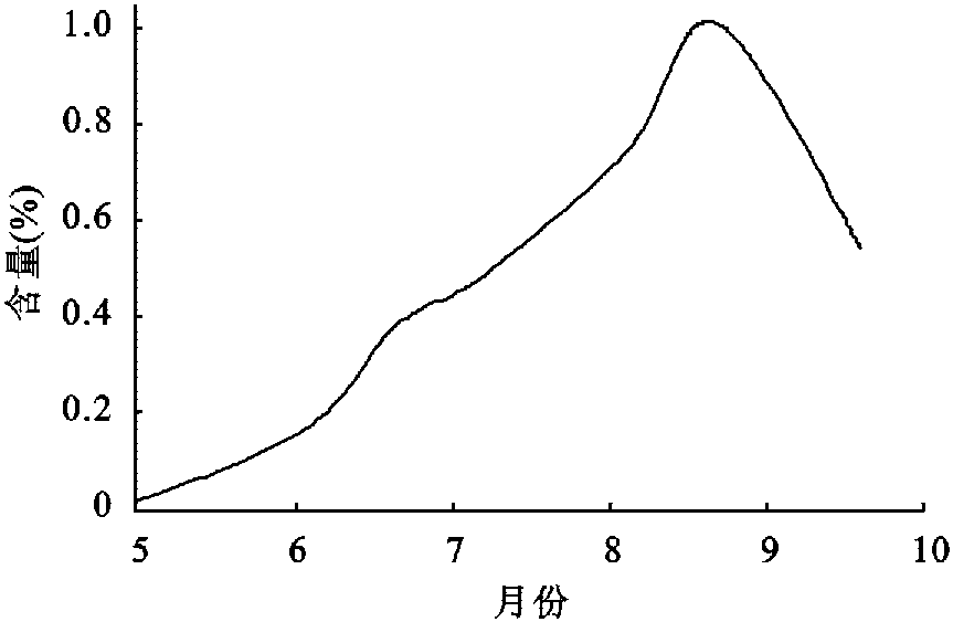 不同发育时期挥发油的积累及动态变化